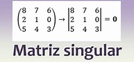 Matriz singular - Universo Formulas