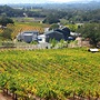 Imagery Estate Winery & Art Gallery (Glen Ellen) - All You Need to Know ...