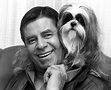 Poseidon's Underworld: Heavy Petting | Shih tzu, Jerry lewis, Pets