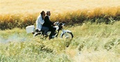 The Films of Abbas Kiarostami | 9–20 June Film season | ACMI: Your ...
