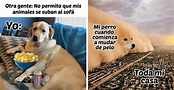 Plantilla Memes Memes Divertidos Memes De Perros Chistosos | Images and ...