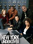 New York Undercover - Full Cast & Crew - TV Guide