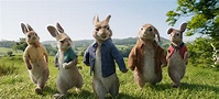 ‘Peter Rabbit’ updates everyone’s favorite bunny - The Boston Globe