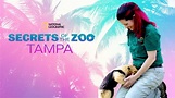 Watch Secrets of the Zoo: Tampa | Full episodes | Disney+