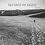 NO END IN SIGHT No End In Sight / Seek Nothing reviews