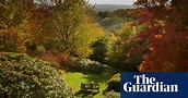 Seasonal scenes: autumn at National Trust gardens | Environment | The ...