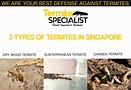 3 Types Of Termites in Singapore, Termite Treatment Singapore