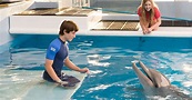 Sneak peek: Star dolphin returns in 'Dolphin Tale 2'