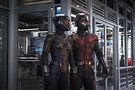 El futuro de Cassey Lang, la hija de Ant-Man, en Marvel Studios – Cine3.com