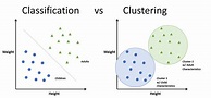 Spectral Clustering: A Comprehensive Guide for Beginners