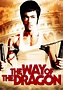 Way Of The Dragon Movie Poster