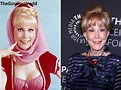 Who Is Barbara Eden? What Happened To Her? Is She Dead Or Alive? Death ...