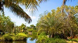 Top 20 Naples Zoo at Caribbean Gardens, US resort rentals | Vrbo