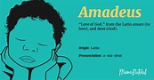 Amadeus Name Meaning, Origin, Popularity, Boy Names Like Amadeus - Mama ...