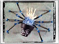 #265: Corpse Bride Spider (#2 in Tim Burton series) | 365 SPIDERS
