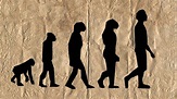 Was genau ist die Evolutionstheorie? Eine Definition