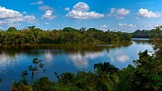 7 atractivos turísticos de la selva peruana que debes descubrir