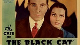 The Case of the Black Cat (1936) - Alan Crosland,William McGann ...