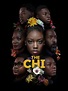 The Chi Season 4: Yes, It Has Been Renewed Officially! - The Nation Roar