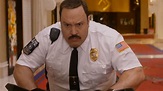 'Paul Blart: Mall Cop 2' Theatrical Release Canceled in Russia ...