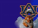 Auburn Tigers Football Wallpaper HD | PixelsTalk.Net