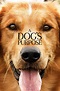 A Dog's Purpose (2017) | The Poster Database (TPDb)