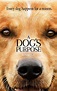 'A Dog's Purpose', tráiler de una película perfecta para amantes de los ...