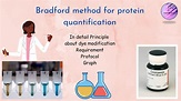 Bradford method for protein quantification | Protocol - YouTube