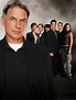 NCIS cast - NCIS Photo (2263715) - Fanpop