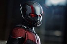 Download Movie Ant-Man Ant-Man 4k Ultra HD Wallpaper by Alex Brooks