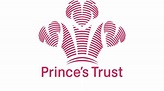 Prince's Trust Enterprise Mentor | Paul Morris : Ecommerce, Digital ...