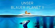 "Unser Blauer Planet II" - Kritik | Moviebreak.de