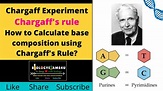 Chargaff Experiment & DNA base pairing Rule||How to Calculate base ...