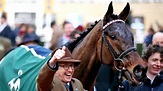 H&H interview: Racehorse trainer Harry Whittington on his first ...
