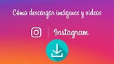 Descargar Videos de Instagram | Instagram Video Downloader