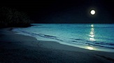 Beach at Night Wallpapers - Top Free Beach at Night Backgrounds ...