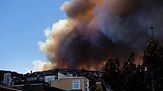 Video | Gigantesco incendio forestal afecta ciudad chilena de ...
