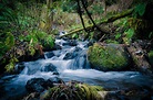 Free Images : landscape, tree, nature, rock, waterfall, creek ...
