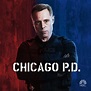 Chicago PD, Season 1 on iTunes