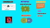 Explique O Que é Megalópole - AskSchool