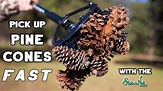 Stab-A-Nut Picking Up Pine Cones Fast on the ground! - YouTube