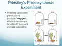 PPT - Photosynthesis PowerPoint Presentation, free download - ID:2506104