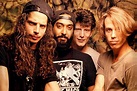 The Jungle of Rock N Roll: As Melhores Bandas do Grunge
