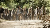 Universo 'The Walking Dead': todas las series y 'spin-off'