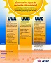Los tipos de radiación Ultravioleta y sus diferencias (UVA, UVB y UVC ...
