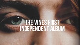 The Vines, Wicked Nature: nuovo album dal 2 settembre 2014 - Soundsblog