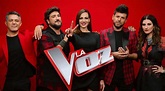 'La Voz 2020' ya tiene ganador: Así es la gran novedad de la edición ...