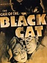 The Case of the Black Cat (1936) - William McGann, Alan Crosland ...