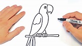 Cómo dibujar un Loro Paso a Paso | Dibujo de Loro - YouTube