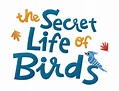 The Secret Life of Birds - Aliaga Mirguseinov